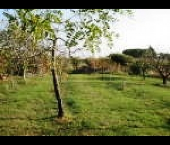 Viale Tatarella - Terreno